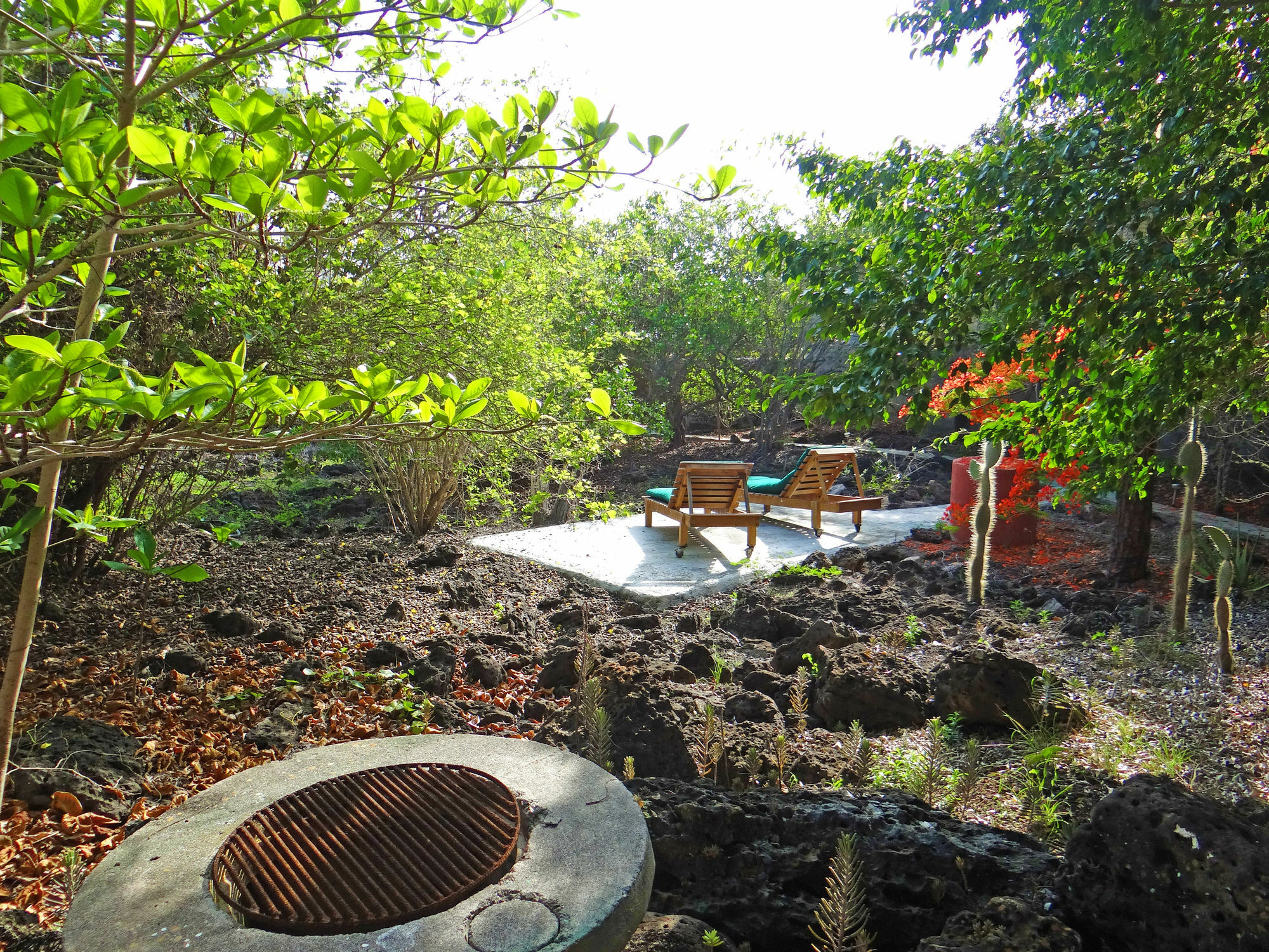 Galapagos Chalet 푸에르토아요라 외부 사진