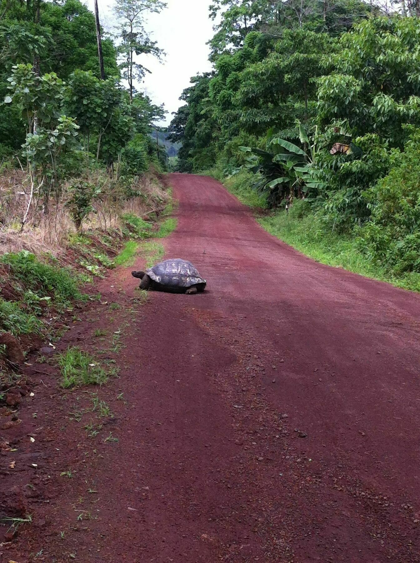 Galapagos Chalet 푸에르토아요라 외부 사진