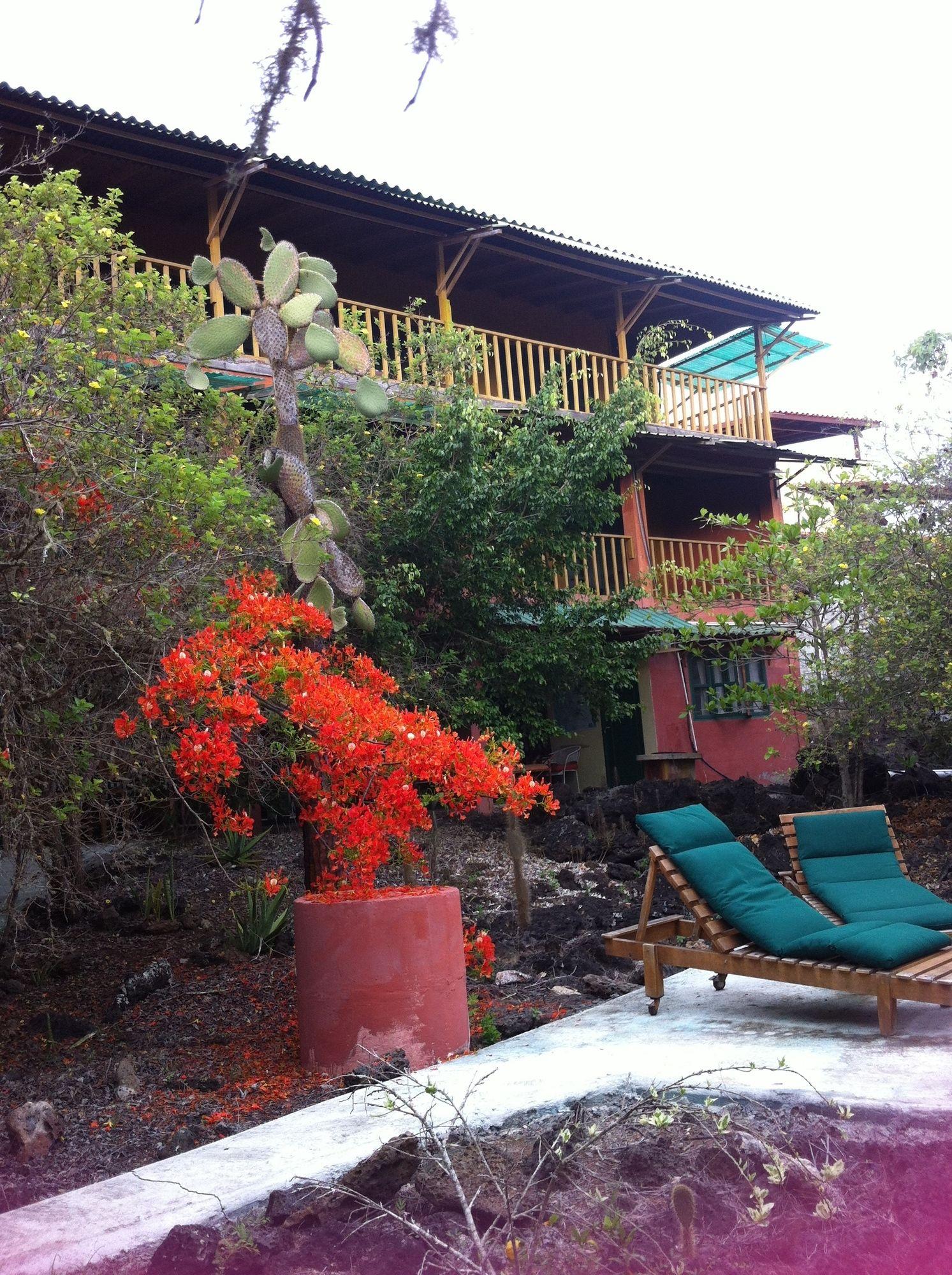 Galapagos Chalet 푸에르토아요라 외부 사진